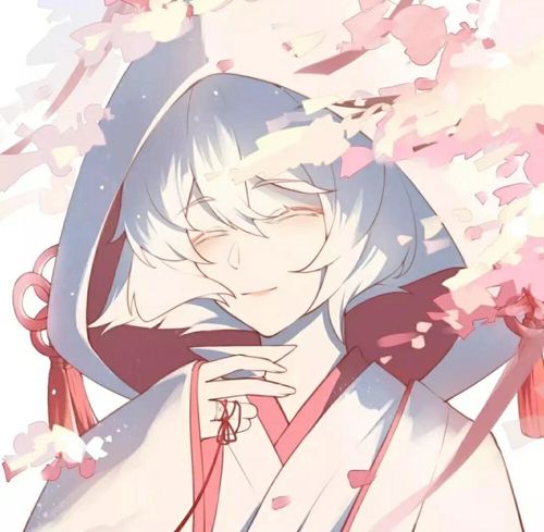 动漫情头白鸟菇菇光遇情头