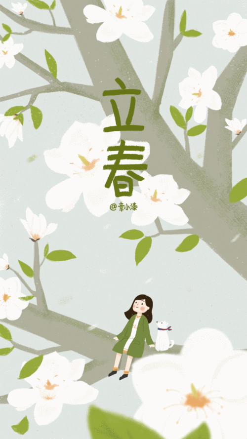 com 二十四节气gif图(持