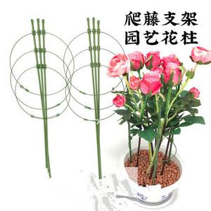 园艺盆栽植物花支架爬藤架子花支撑杆攀藤架月季固定铁环支柱室内