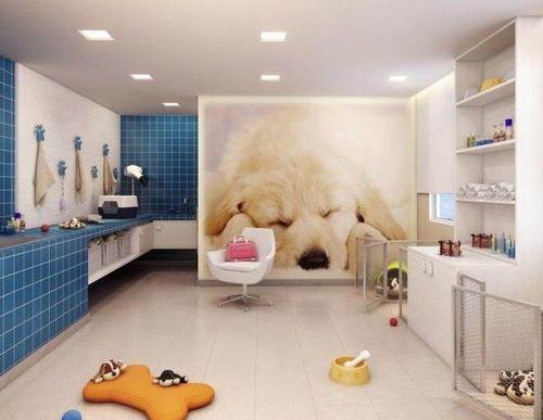 宠物店,宠物医院,宠物酒店,宠物家装等宠物相关工程设计施工