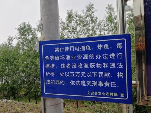 文安河流水域进入禁渔期举报电话