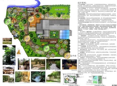 庭院设计平面图