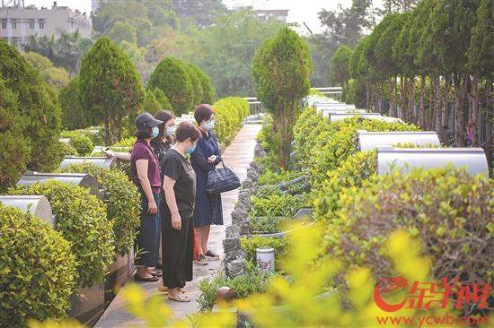 广州市民点赞预约祭扫,无烟祭拜