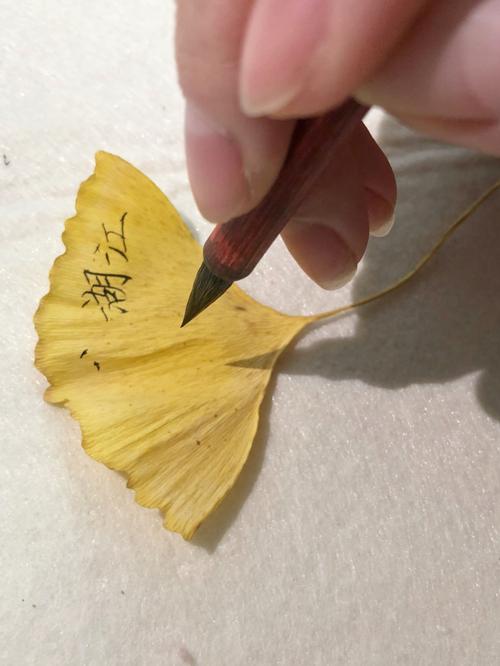 自制—银杏叶书签92_书签_银杏_毛笔_秋天去哪玩_小楷书签_家居家装