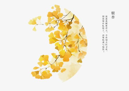 关键词 : 卡通,手绘,插画,手绘素材,手绘插画,银杏