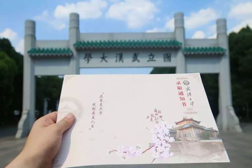 校训下面的樱花是武大代表性的植物,每年春暖花开,便是武大最美的时节