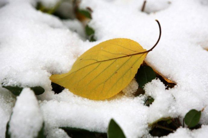 哈尔滨今天下雪了!
