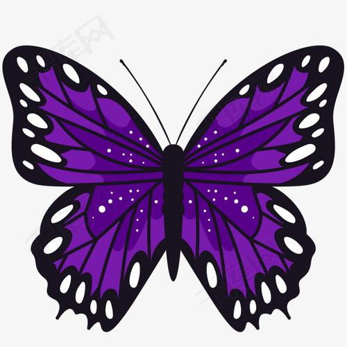 卡通手绘蝴蝶设计