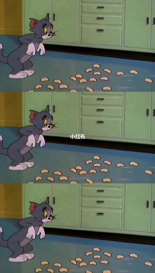 猫和老鼠|这对杰瑞小象cp你喜欢嘛?