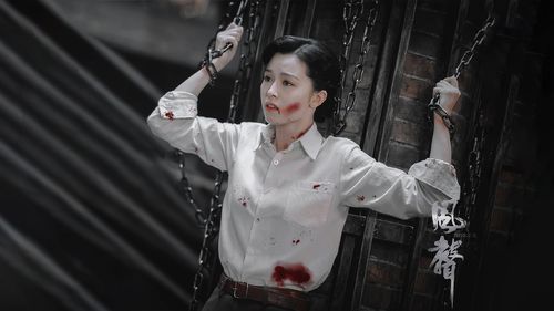 人间理想李宁玉!人间妄想文咏珊!