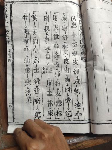丰城焦坑杨源聂氏族谱