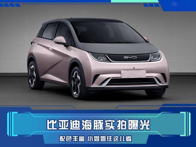 比亚迪海豚实拍曝光配色丰富小姐姐往这儿看