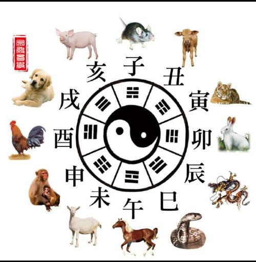 属相什么时间交替?是春节还是立春?