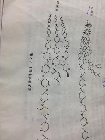 淀粉的分子式是(c6h10o5)n,可是我用红圈标注的这个明显不是啊