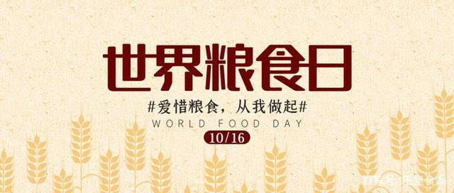 玉皇粮油启动第40个世界粮食日宣传周活动