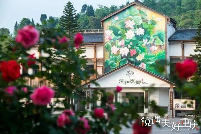 铜梁新闻 > 正文