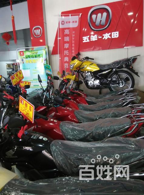 温州双屿金三角五羊本田摩托车店销售五羊本田,大地