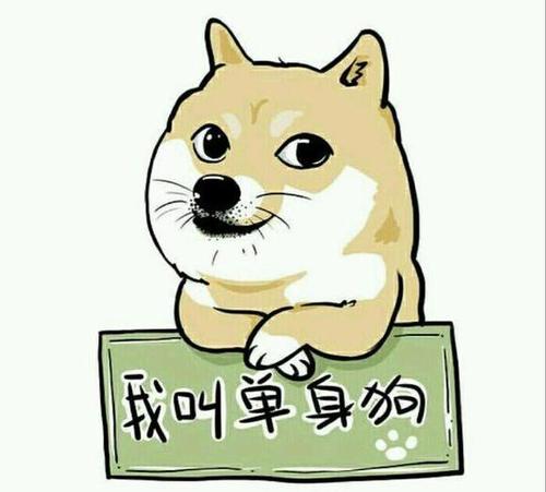 男生单身久了是一种什么样的体验?