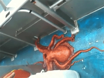 听说现在直播室出美女说唷的午间动态图