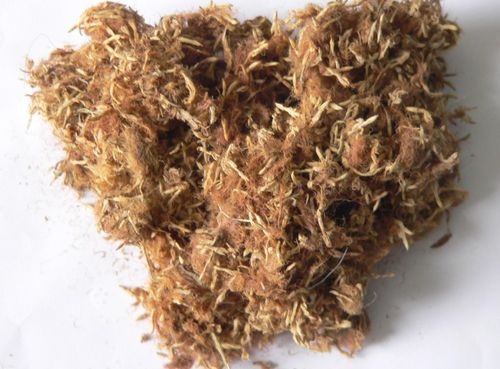 中药合欢花图片