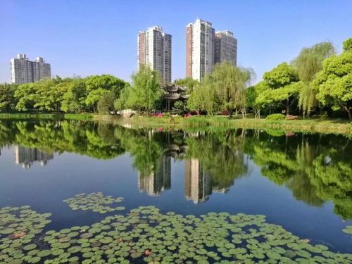 去年15万多人进城落户 常德人口城镇化率上升1.4%