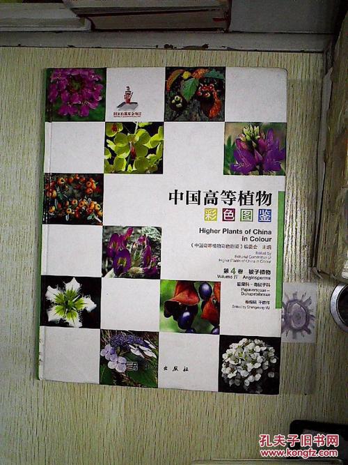 中国高等植物图鉴第四册