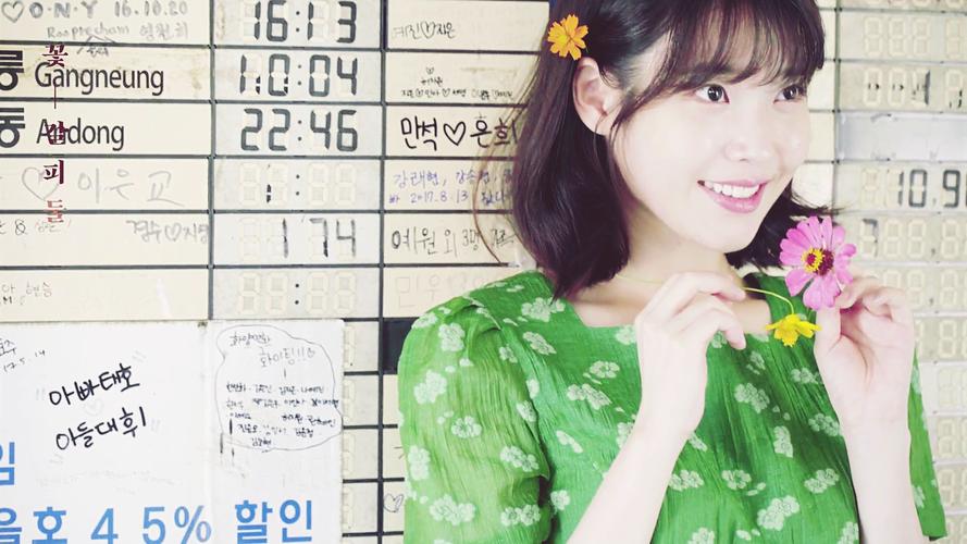 iu 李智恩 李知恩 花书签2