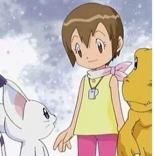  p> b>八神光 /b>(日文原名:八神ヒカリ;大陆旧译,台译:八神嘉儿)是