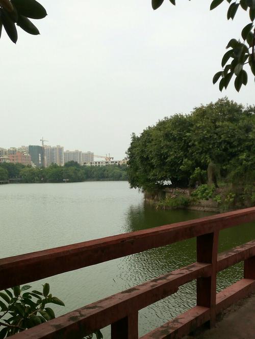 阳江北湖公园小景