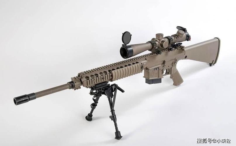 十大精确射手步枪,轻便灵活精准度高