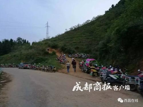 一盘卖到120月赚数千元 凉山会东男女老少上山抓"唐僧