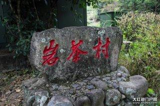 武夷岩茶