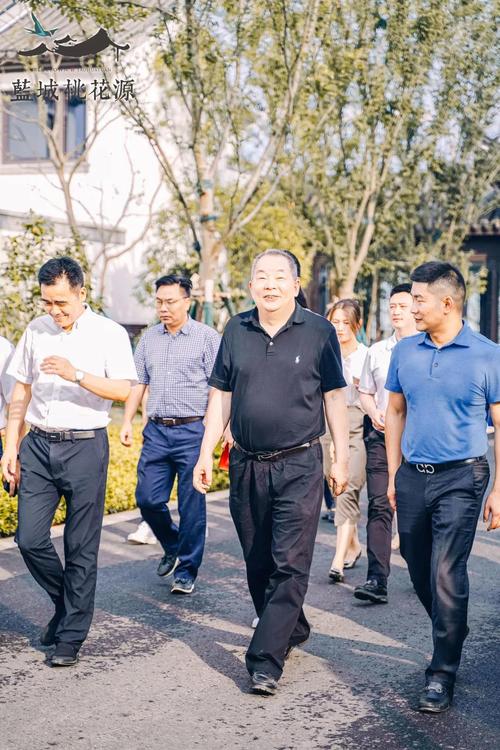 探寻心中的理想小镇,蓝城董事长宋卫平与集团领导亲临桃花源视察