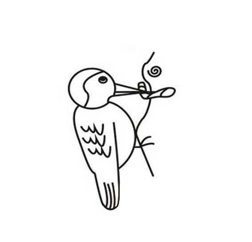 教你如何画啄木鸟儿童简笔画啄木鸟捉虫画法图解