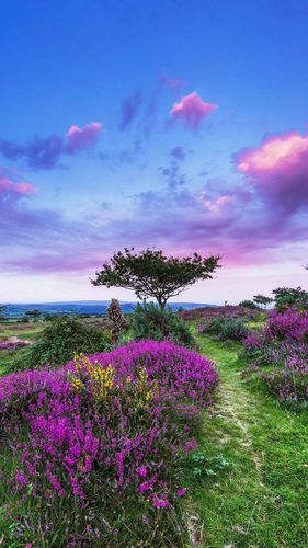 唯美自然风光壁纸超漂亮风景