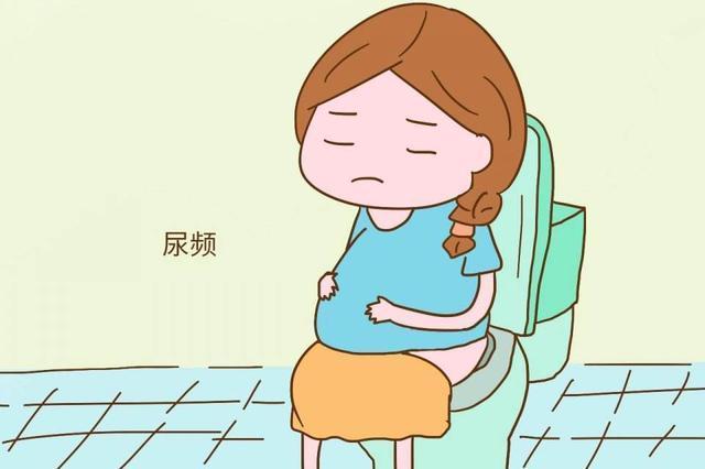 之后,子宫会有所增大,会推挤着膀胱上移,膀胱受到刺激就会引起尿频了