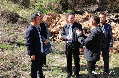 近日,成县小川镇再一次掀起"拆危治乱"小高潮
