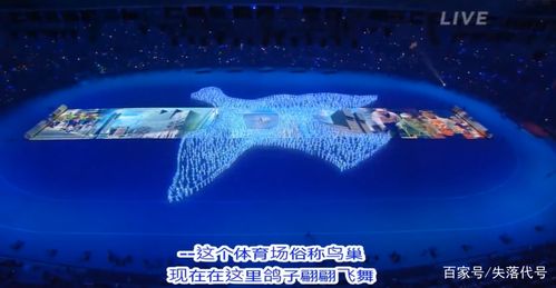 北京奥运会开幕式上的和平鸽图案