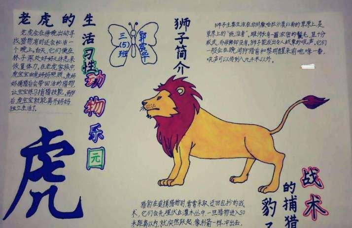 动物世界手抄报图片大全