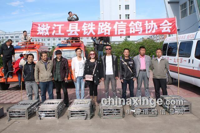 黑龙江省嫩江县运动会施放彩鸽照片