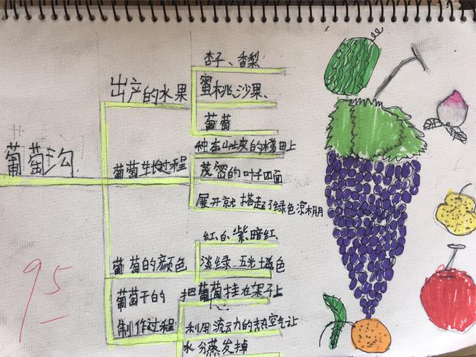 《葡萄沟》思维导图