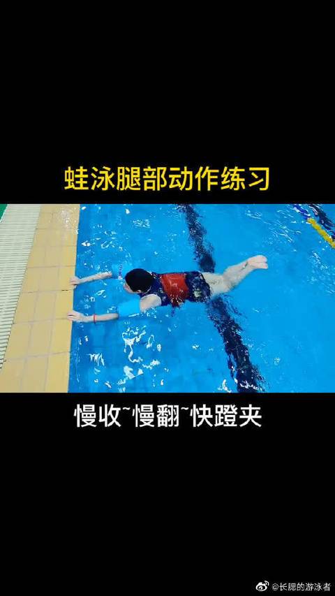 蛙泳腿部动作慢收慢翻快蹬夹