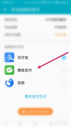 最后选择支付方式,进行付款即可