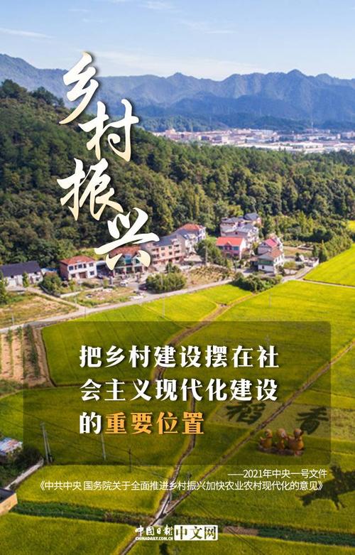 图说:中央一号文件为乡村振兴描绘美好蓝图