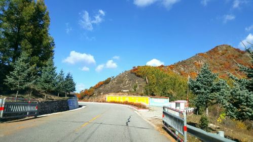 112国道上的秋色