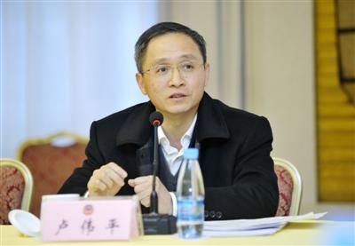 卢伟平参加讨论. 记者 凌厚祥摄