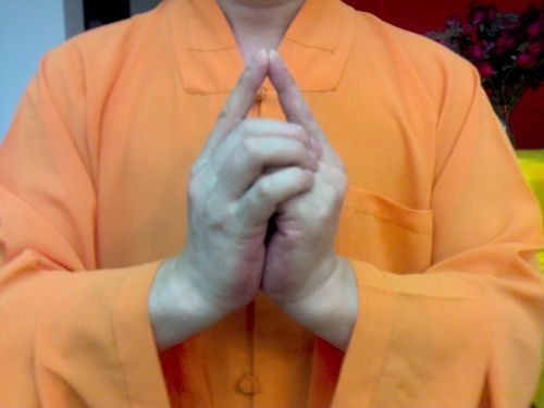 [转载]毗卢遮那不空大灌顶真言,毗卢心印