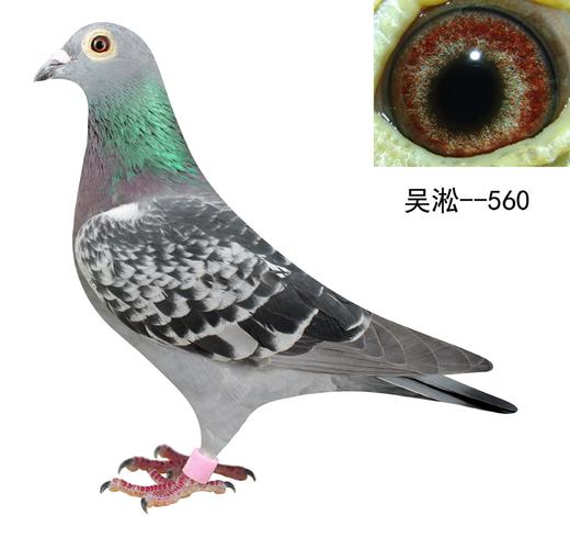 吴淞园头--560