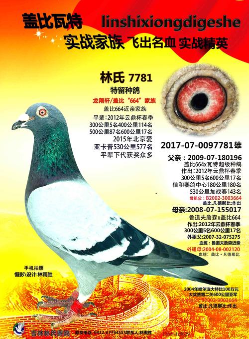 龙翔轩/盖比"664"家族