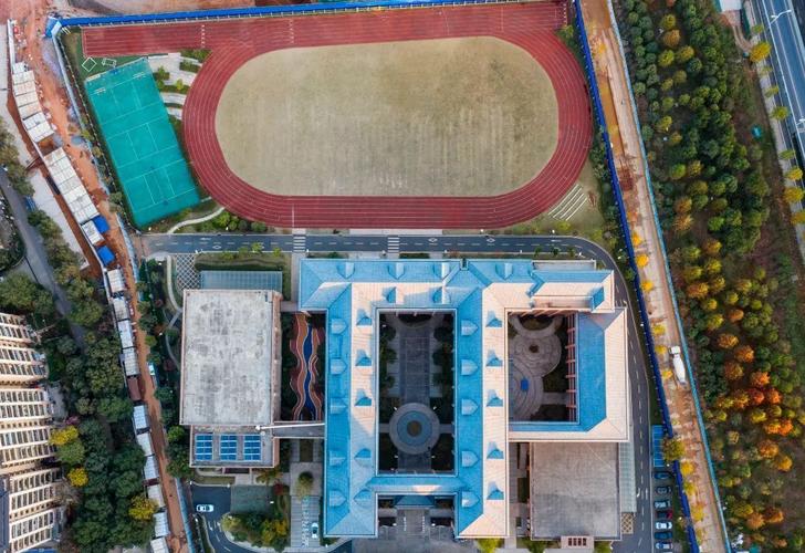 初冬秋意浓:汉阳区二桥中学芳草校区实在是太美了||区